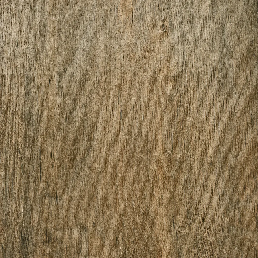 Detail dubového dřeva